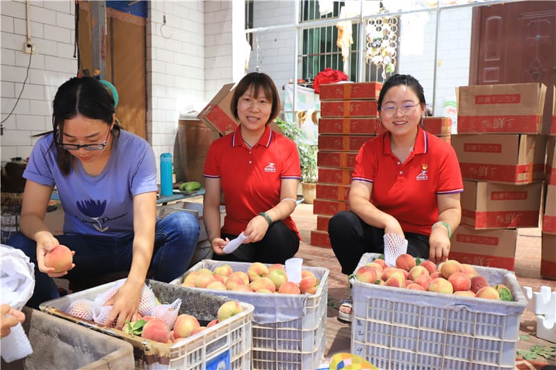 2022-助力农户销售水蜜桃